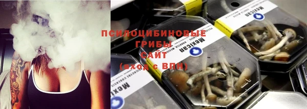 трава Кинешма