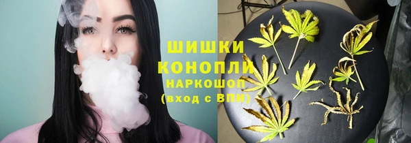 прущие крисы Киренск