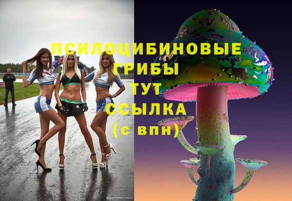 прущие крисы Киренск