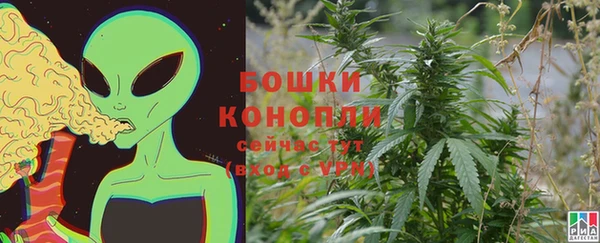 прущие крисы Киренск